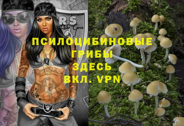 метадон Ельня